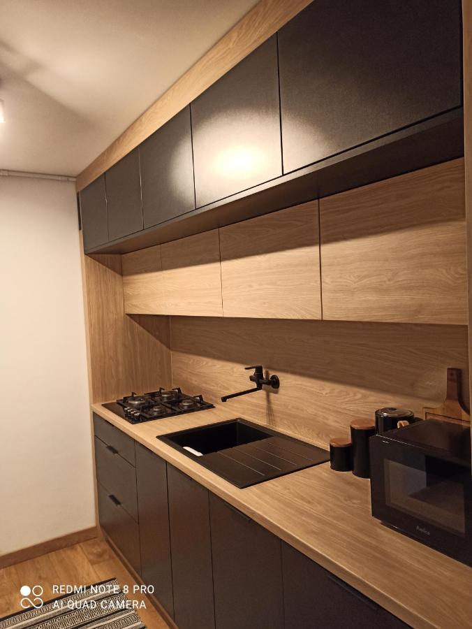 Studio Park Slaski Katowice/Chorzow Ngoại thất bức ảnh
