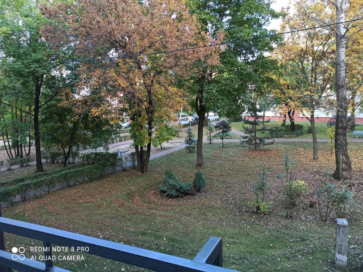 Studio Park Slaski Katowice/Chorzow Ngoại thất bức ảnh